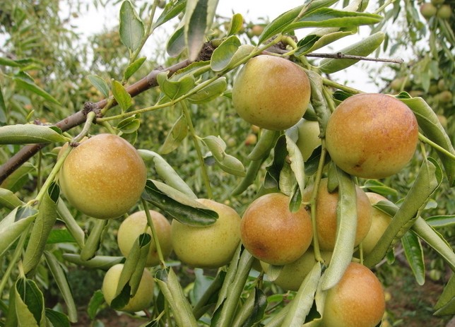 մ������
