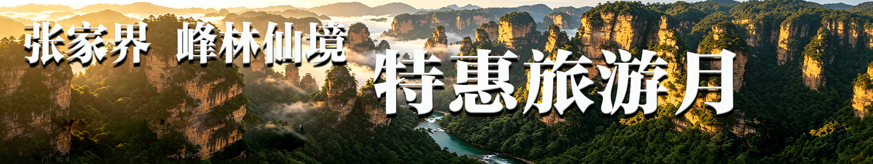 �żҽ�����