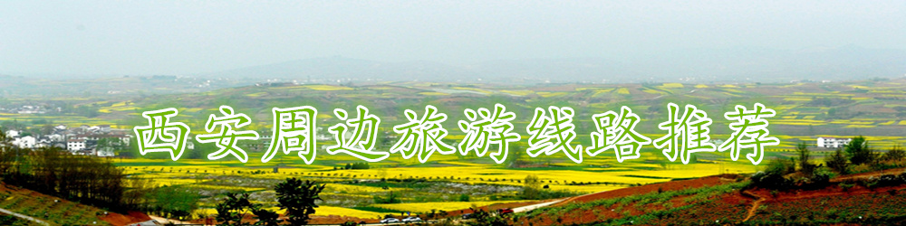 �����ܱ���·�Ƽ�