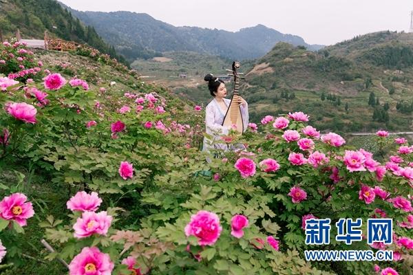 80处赏花点 重庆发布150余项春季文化旅游活动