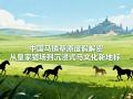 中国马镇草原度假解密从皇家猎场到沉浸式马文化新地标