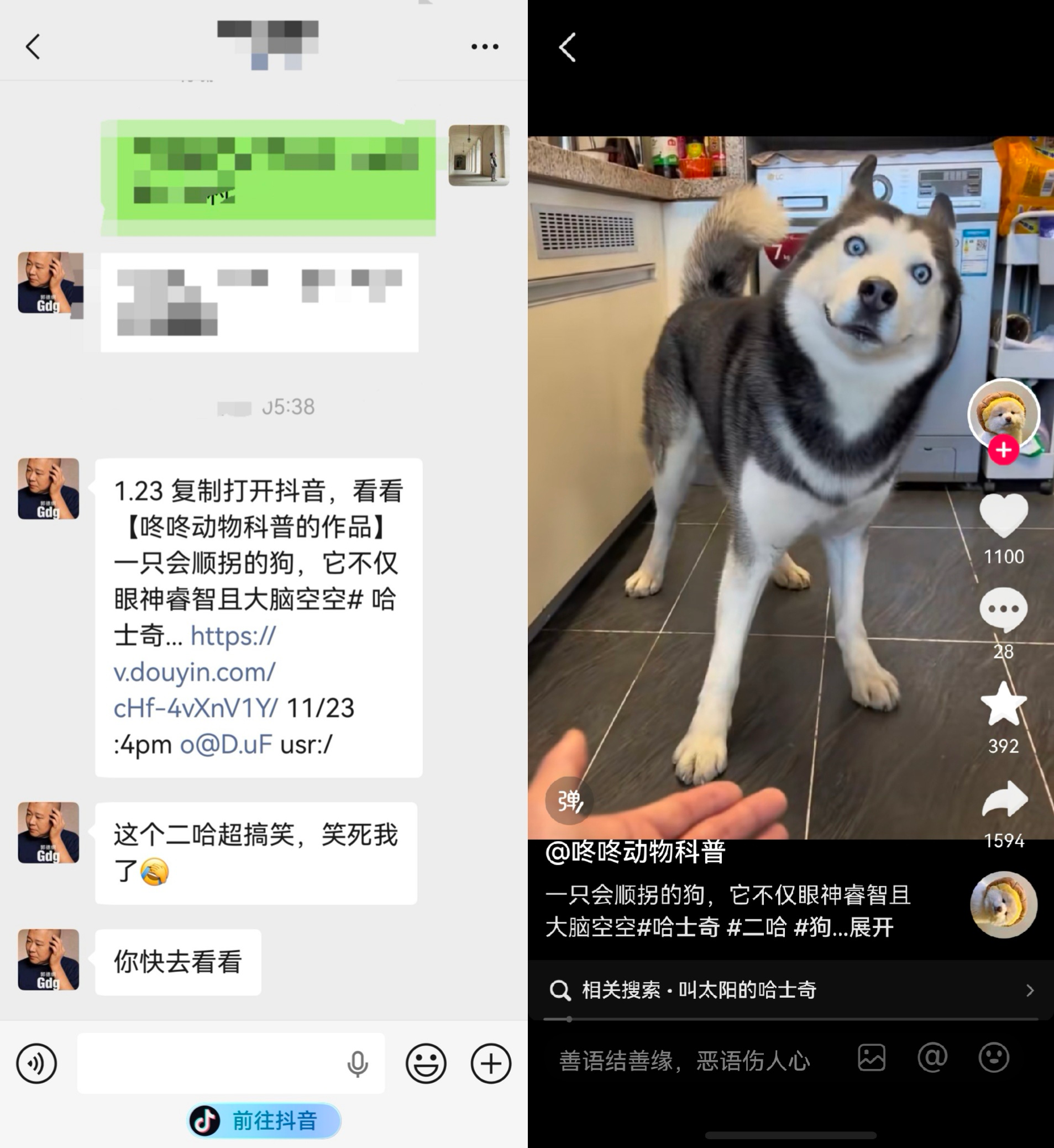 图片 4.png 图片 4.png