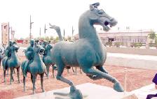 ��γ˷ɻ������������Σ������ػ�������ʱ�̱�