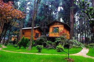 ��������ƪ