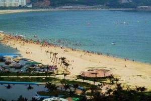 ʮһ����ר��