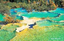 ��կ�������ζ���Ǯ����կ������������