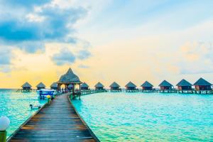 ������������������,ȥ���������Ƽ�·��