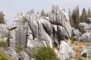 ����ʯ�ֽ���