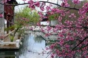 �����ų����˽�