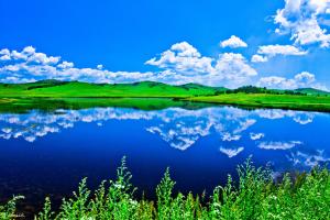 ���ܲ�ԭ�����ѡ���ɹţ����ɹ�������·