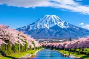 �������ձ�����,�ձ�ȫ�����α���,����