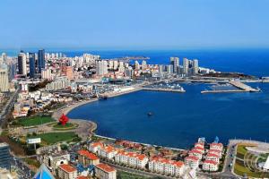 ��һȥ�ൺ����ľ��㡢�ൺ������·�Ƽ�