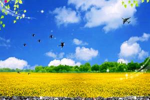 �����ʺ�ȥ�����Σ������������κ�ȥ���Ƽ�