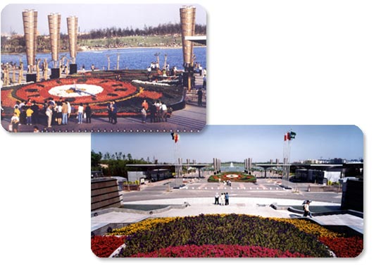上海世纪公园花钟图片